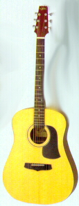 Aria Acoustic Guitar AF75