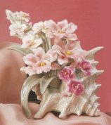 Orchids in Conch Shell