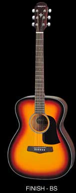 Aria Acoustic - AF-75