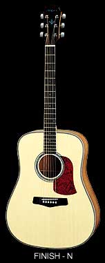 Aria Acoustic  - AW-630 