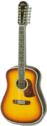 Aria AW-930T  12 String