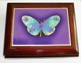 Butterfly Tile on Cherry Milano Musical  Box