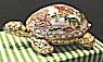 Cloisonne Musical Tortoise