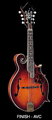 Mandolin Aria 400