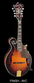 Mandolin Aria 600