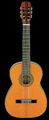 Pepe Classical Guitar - PS-48 by Aria