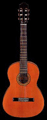 Pepe Classical Guitar - PS-58 by Aria